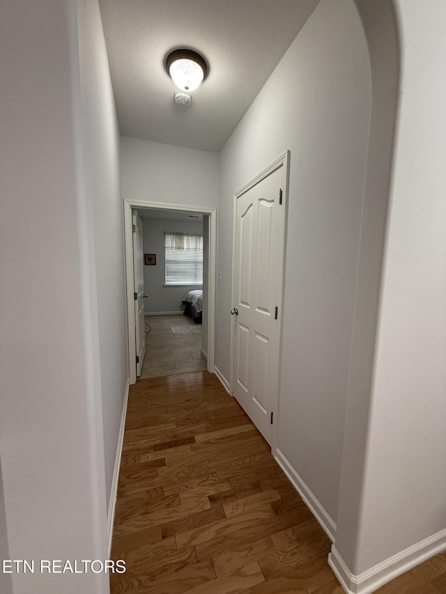 hallway featuring wood-type flooring