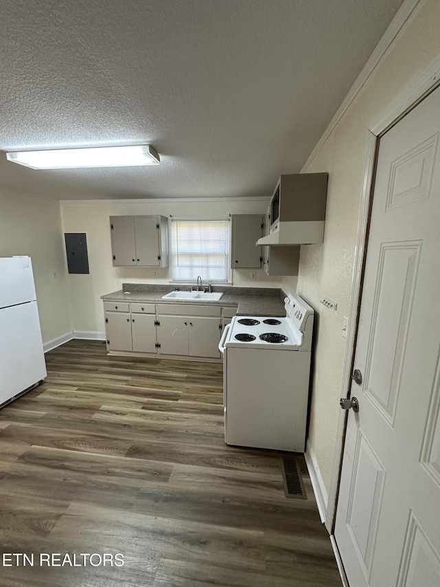 kitchen featuring white appliances, electric panel, sink, a textured ceiling, and dark hardwood / wood-style flooring