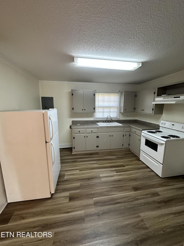 kitchen with a textured ceiling, white appliances, dark wood-type flooring, and sink