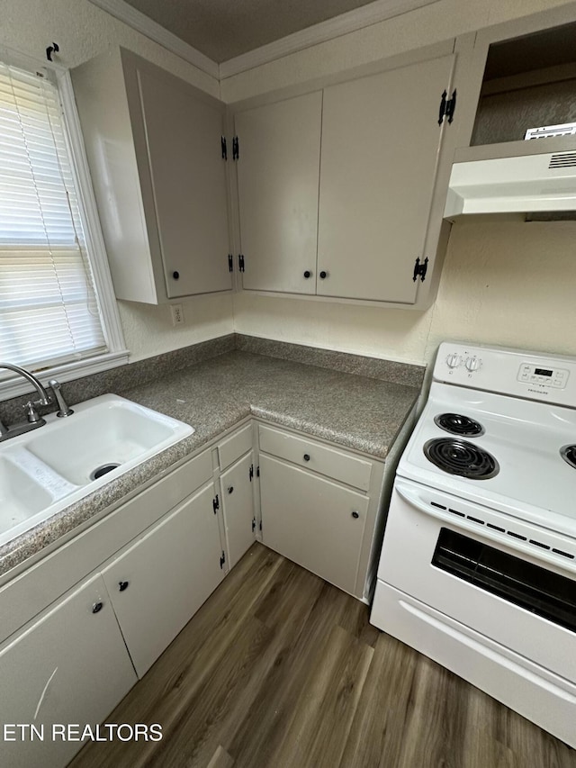 kitchen with white range with electric stovetop, dark hardwood / wood-style floors, white cabinetry, and sink