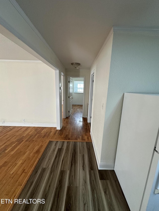 hall featuring dark hardwood / wood-style floors and ornamental molding