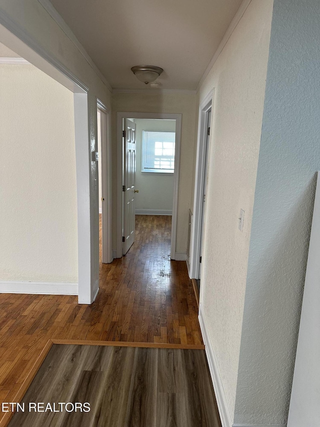 hall featuring dark hardwood / wood-style flooring and ornamental molding