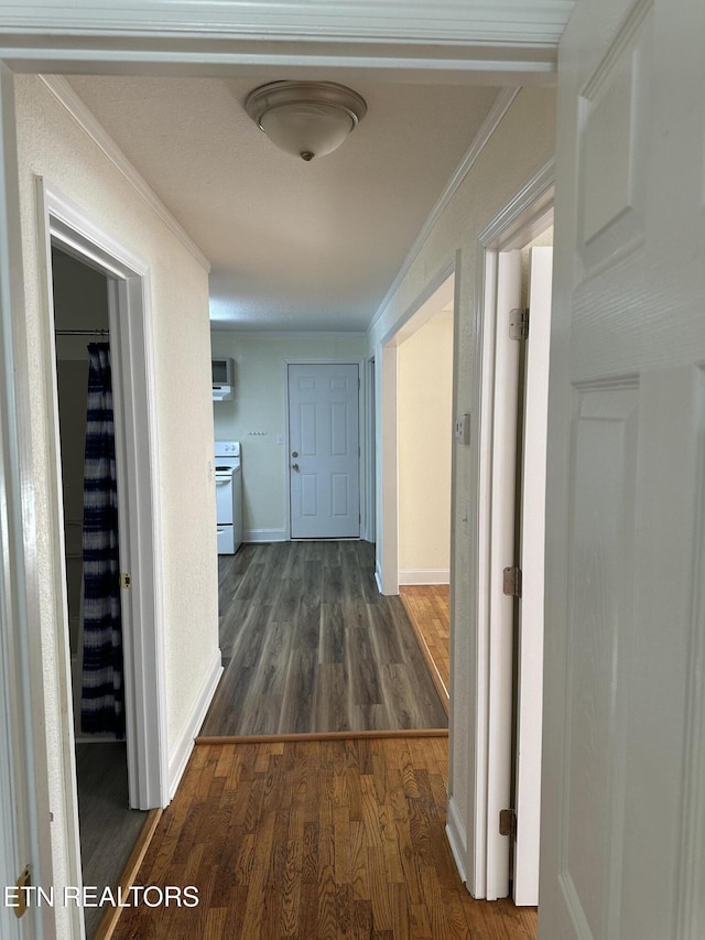 corridor featuring ornamental molding and dark wood-type flooring