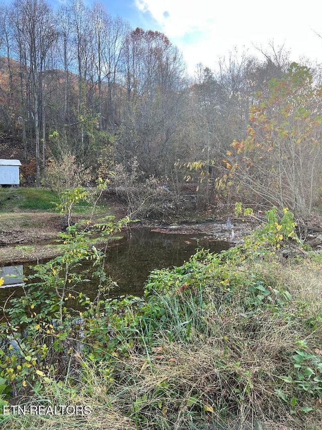 view of yard featuring a forest view