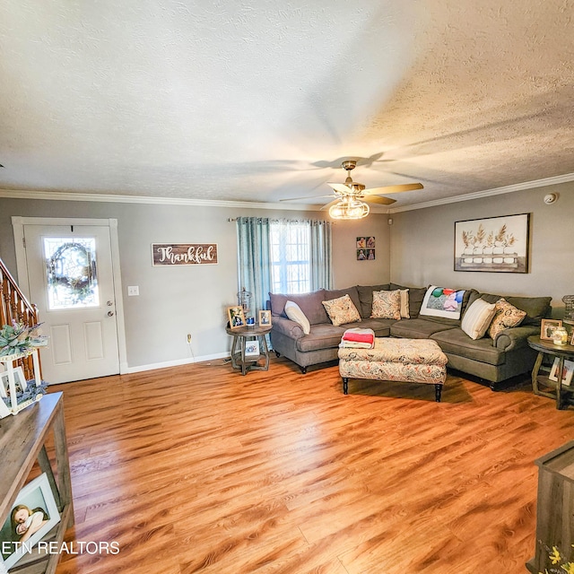 living room with crown molding, ceiling fan, a textured ceiling, and light hardwood / wood-style flooring