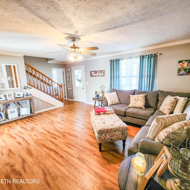 living room featuring a healthy amount of sunlight, ceiling fan, ornamental molding, and a textured ceiling