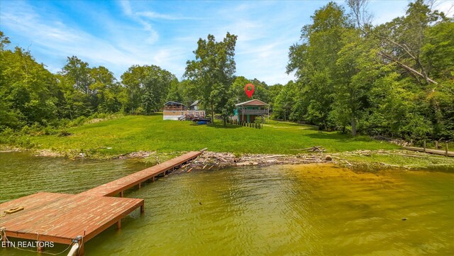 1429 Sunbeam Ln, Dandridge, TN 37725 - dock area with a water view and a yard