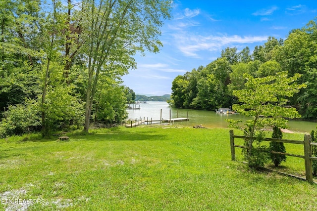 1429 Sunbeam Ln, Dandridge, TN 37725 - view of yard with a water view and a dock
