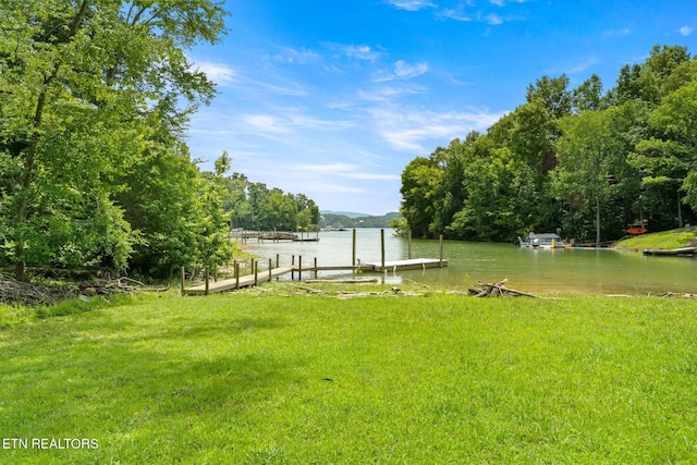 1429 Sunbeam Ln, Dandridge, TN 37725 - dock area with a water view and a yard