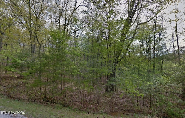 117 Kings Down Dr, Crossville TN, 38558 land for sale