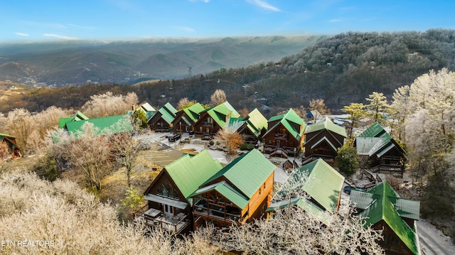 birds eye view of property featuring a mountain view