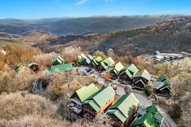 birds eye view of property featuring a mountain view