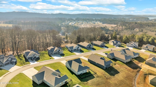 drone / aerial view featuring a mountain view