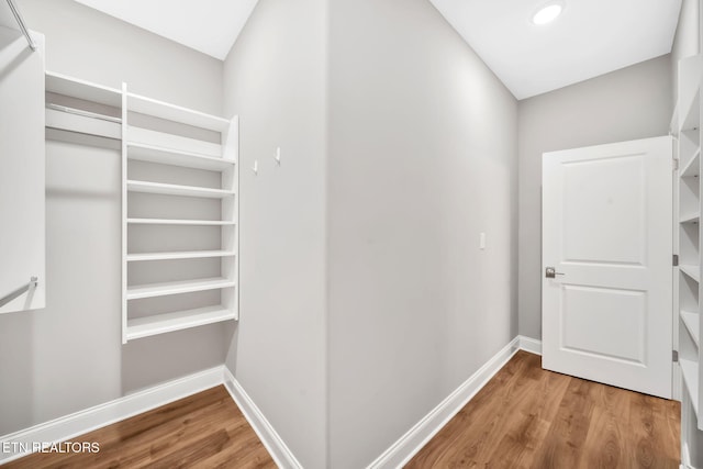 spacious closet featuring wood-type flooring