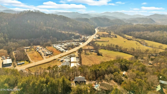 drone / aerial view with a mountain view