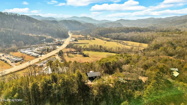 bird's eye view with a mountain view