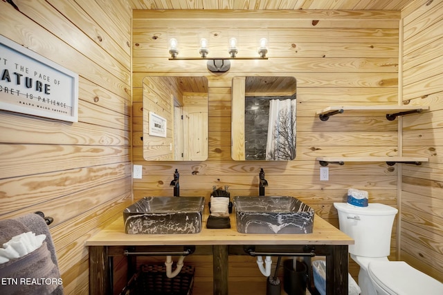 bathroom with toilet, wooden walls, and sink