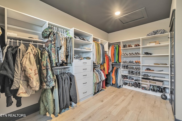 walk in closet with light wood-type flooring