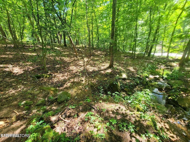 161 Sugarbush Cir, Crossville TN, 38558 land for sale