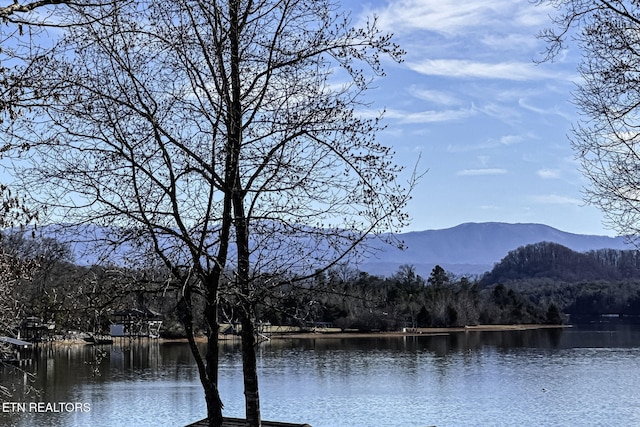 view of water feature with a mountain view