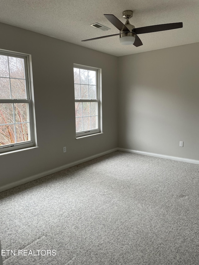 empty room with carpet flooring, a textured ceiling, and a wealth of natural light