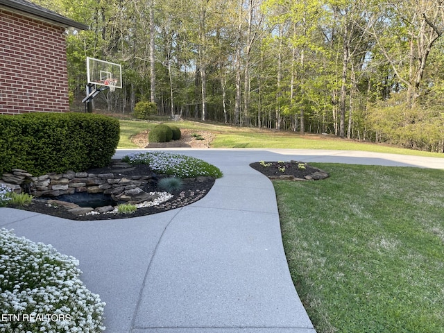 view of yard with a wooded view