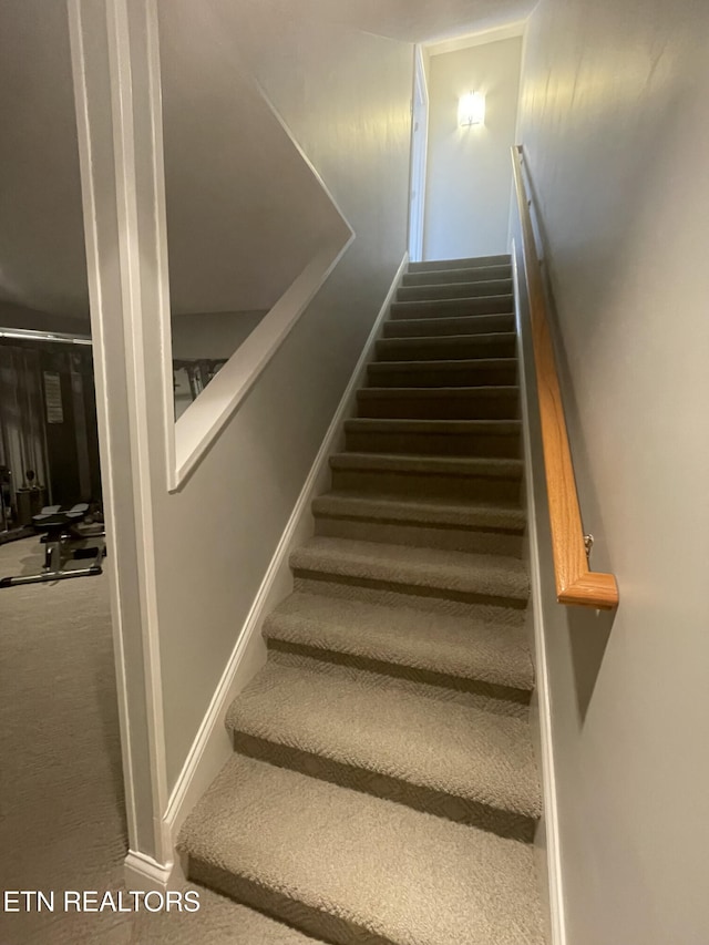 stairway with carpet flooring