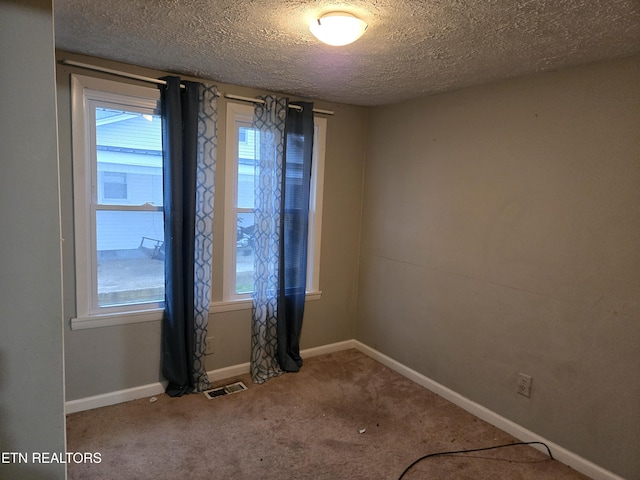 spare room with carpet, plenty of natural light, and a textured ceiling