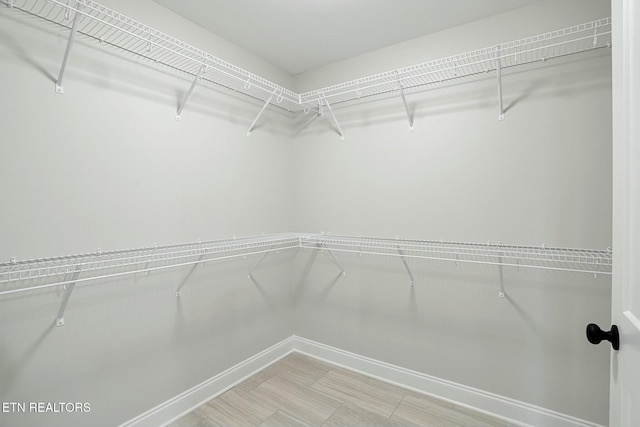 view of walk in closet