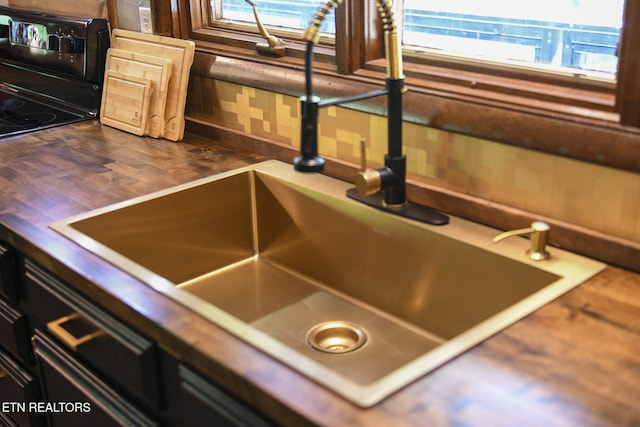 interior details with wood counters and sink