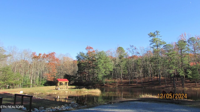 view of water feature