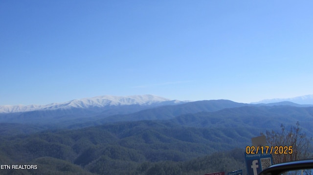 view of mountain feature