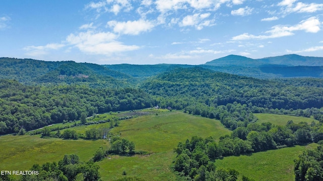 5640 Brimstone Rd, Robbins, TN 37852 - view of mountain background featuring a forest