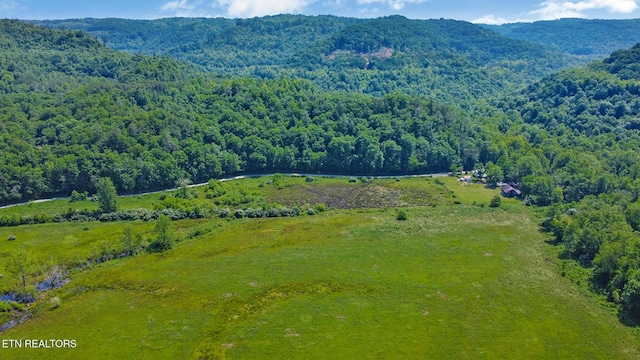 5640 Brimstone Rd, Robbins, TN 37852 - aerial view of a heavily wooded area