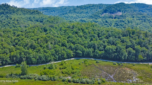 5640 Brimstone Rd, Robbins, TN 37852 - drone / aerial view of a forest