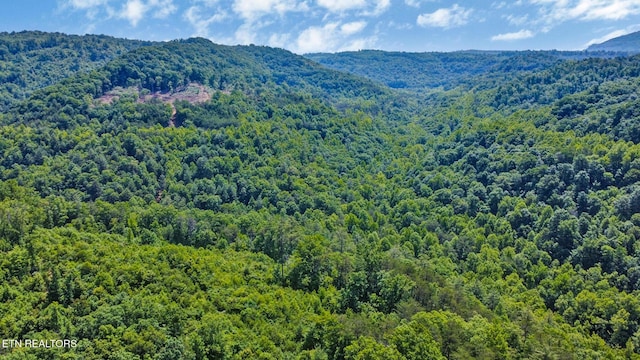 5640 Brimstone Rd, Robbins, TN 37852 - view of mountain backdrop with a forest