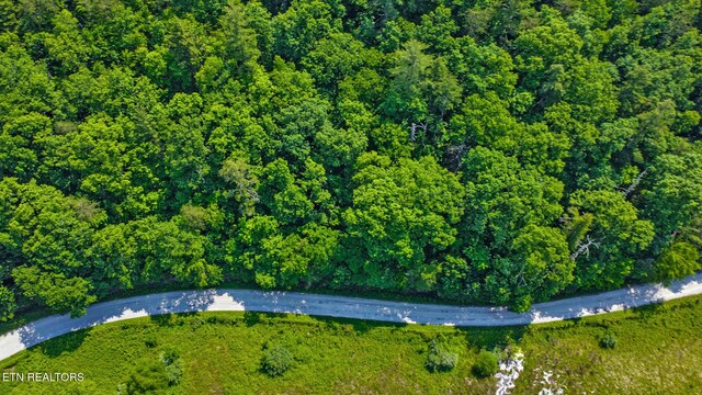 5640 Brimstone Rd, Robbins, TN 37852 - aerial view of property's location