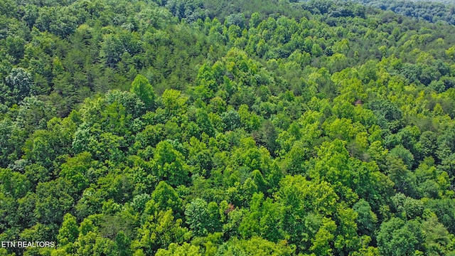 5640 Brimstone Rd, Robbins, TN 37852 - drone / aerial view of a forest