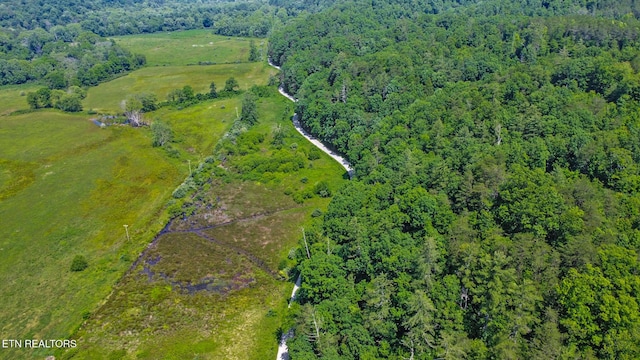 5640 Brimstone Rd, Robbins, TN 37852 - aerial overview of property's location featuring a heavily wooded area