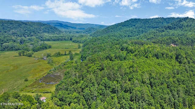 5640 Brimstone Rd, Robbins, TN 37852 - view of mountain background with a forest