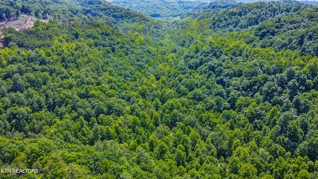 5640 Brimstone Rd, Robbins, TN 37852 - aerial view of a heavily wooded area and a mountainous background