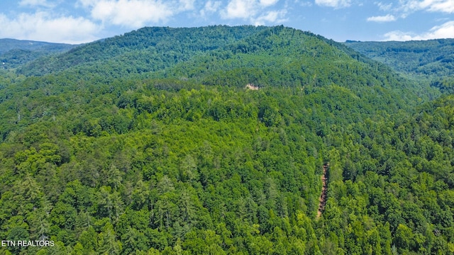 5640 Brimstone Rd, Robbins, TN 37852 - view of mountain background with a heavily wooded area