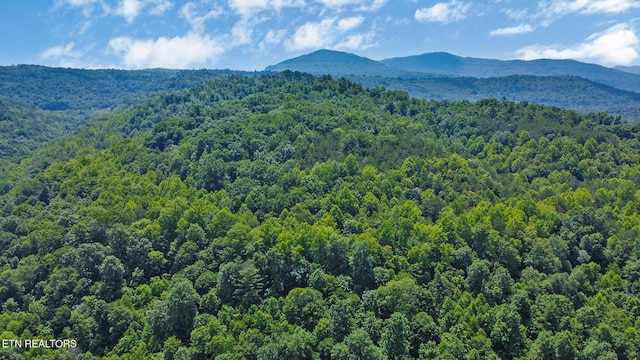 5640 Brimstone Rd, Robbins, TN 37852 - view of mountain backdrop featuring a forest