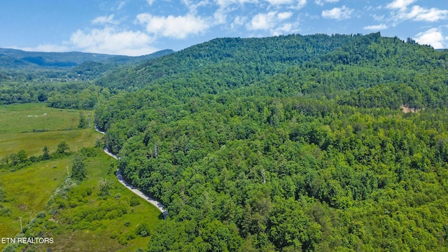 5640 Brimstone Rd, Robbins, TN 37852 - aerial view of a forest and a mountainous background