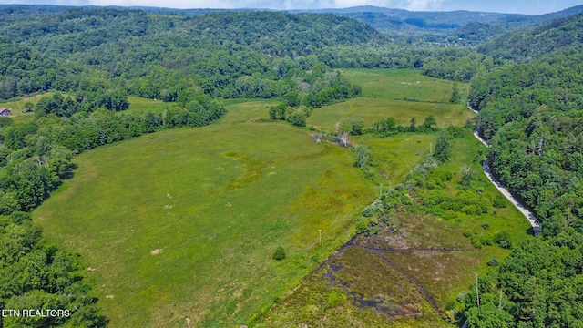 5640 Brimstone Rd, Robbins, TN 37852 - aerial view of a forest