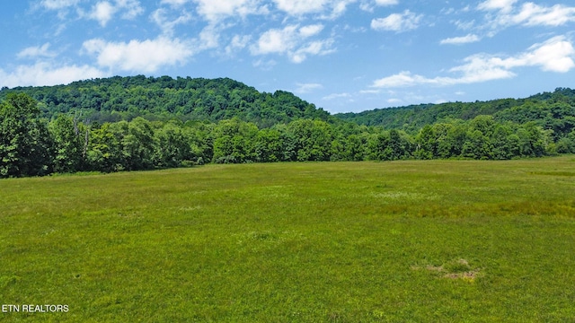 5640 Brimstone Rd, Robbins, TN 37852 - view of mountain backdrop with a heavily wooded area