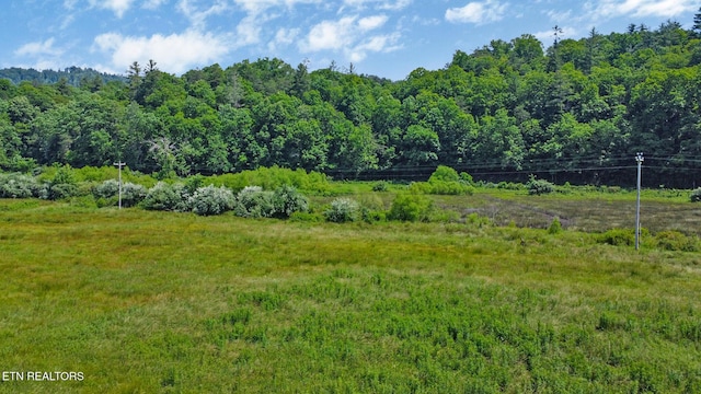 5640 Brimstone Rd, Robbins, TN 37852 - view of yard featuring a forest view