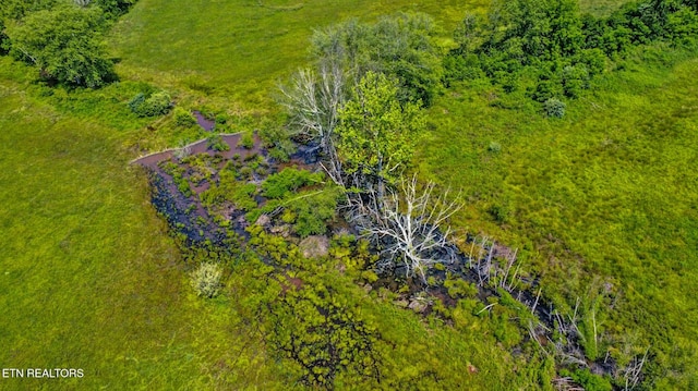 5640 Brimstone Rd, Robbins, TN 37852 - aerial view