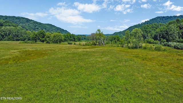 5640 Brimstone Rd, Robbins, TN 37852 - mountain view featuring rural landscape and a heavily wooded area
