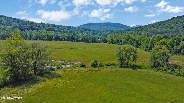 5640 Brimstone Rd, Robbins, TN 37852 - view of mountain backdrop with a forest